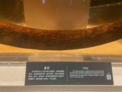 -金沙遗址博物馆