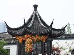 -青果巷历史文化街区