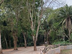 -海南热带野生动植物园