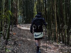 -海窝子古镇
