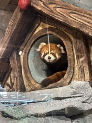 -Zoolung Zoolung动物主题公园(海信广场店)