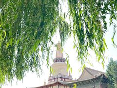 -张掖大佛寺景区