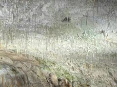 -波斯托伊纳溶洞