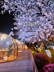 -晴川假日酒店·宴会厅·会议厅