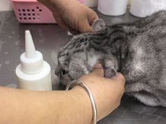 -美联众合动物医院·24h京西诊疗中心