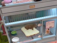 -FAELING PETS美天灵宠物(合生汇店)