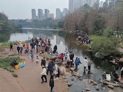 -重庆彩云湖湿地公园