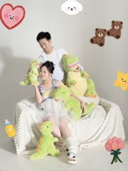 -Dina迪纳摄影(梅州品牌旗舰店)