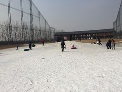 -万源龙顺度假庄园生态观光园