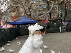 -绵阳人民公园(涪城区)