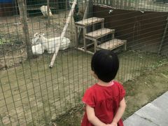 -上海崇明金茂凯悦酒店