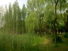 -昆山城市生态森林公园