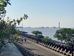 -上海滨江森林公园