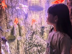 -多彩贵州城极地海洋世界