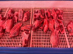 -沈阳市二台子清真牛羊屠宰厂