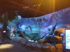 -沈阳海洋探索中心