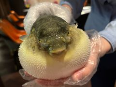 -肆月河豚·淮扬菜·湘菜(华天店)