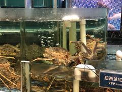 -凯逸轩·匠心粤菜(中城名仕汇店)