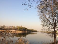 稻香湖景温泉会馆-湖景温泉