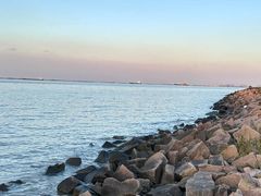-上海滨江森林公园