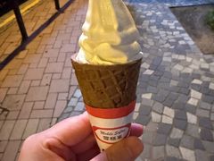 -富豪雪糕车流动点(尖沙咀店)