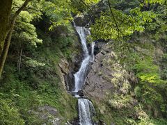 -石台牯牛降景区