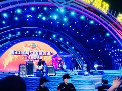 -第35届青岛国际啤酒节