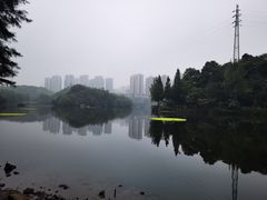 -重庆彩云湖湿地公园