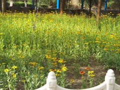 -森林公园(尖草坪区)