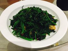 -广东道至正餐厅(区庄店)