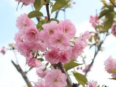 -仙海旅游度假区