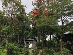 -深圳国际园林花卉博览园