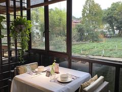 -野蔓果·山野菜(西湖景区·龙井茶田店)