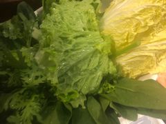 -鸿运楼老北京铜锅涮肉  烤串(木樨园店)