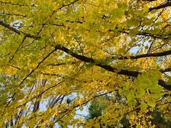 -奥林匹克森林公园北园-停车场