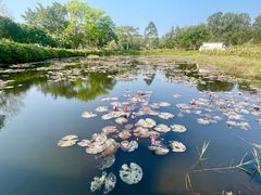 -香港赛马会双鱼河会所