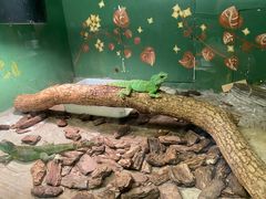 -上海大自然野生昆虫馆