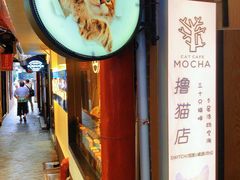 -MOCHA明星猫咖(田子坊店)