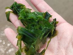-青岛第一海水浴场