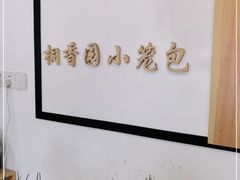 -桐香园小笼包(百井坊巷店)