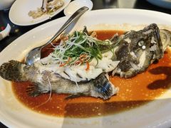 碎蒸深海石斑鱼-天伦里餐厅(绿城桃花源店)