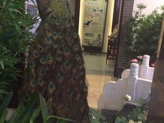 -扬州三韵足道会馆(中银店)