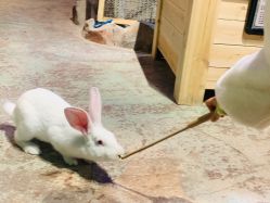 -酷嗒动物文化乐园(cutezoo西溪乐天城店)