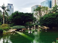 -九龙公园
