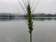 -三岔湖景区