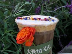 风城玫瑰-大青树咖啡(大理古城店)