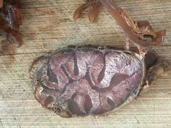 牛腱-上海牛羊肉公司塘沽路清真门市部