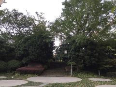 景点-活水公园