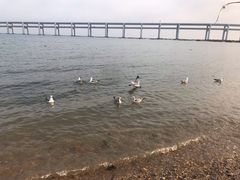 -黑石礁公园