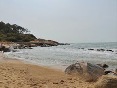 -广东惠东海龟国家级自然保护区